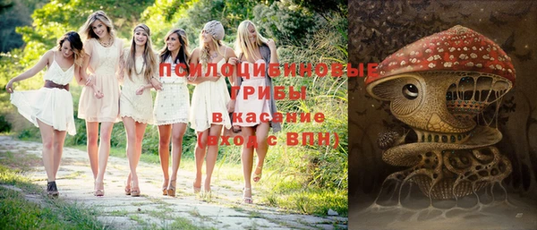 каннабис Арсеньев