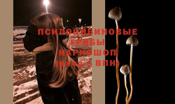 гашиш Аркадак