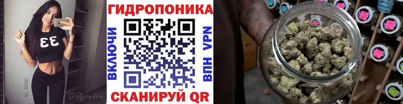 где можно купить наркотик  гидра   Конопля семена  Россошь 